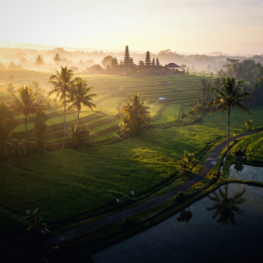 How Many GB Do I Need for Indonesia? A Guide by Traveler Profile | Travel eSIM | PuraSIM