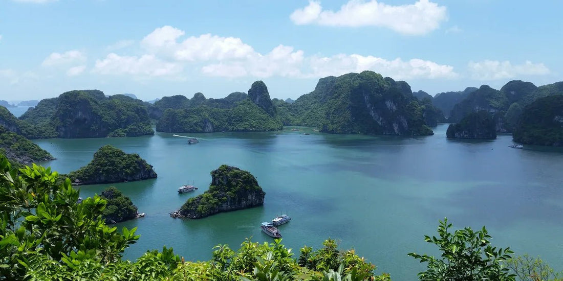 eSIM für Vietnam – Mobiles Internet für Reisende
