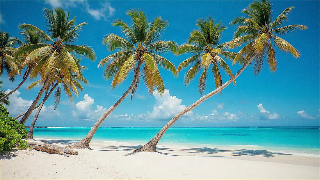 Playa de arena blanca con palmeras y mar turquesa en Barbados