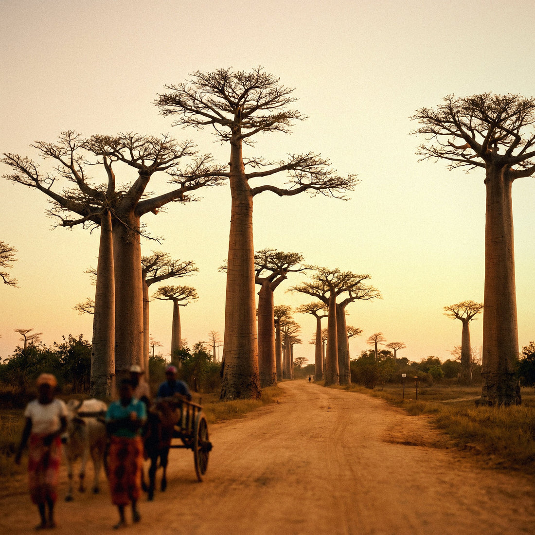 Destino de viaje en Madagascar, conectado con una eSIM de datos sin roaming