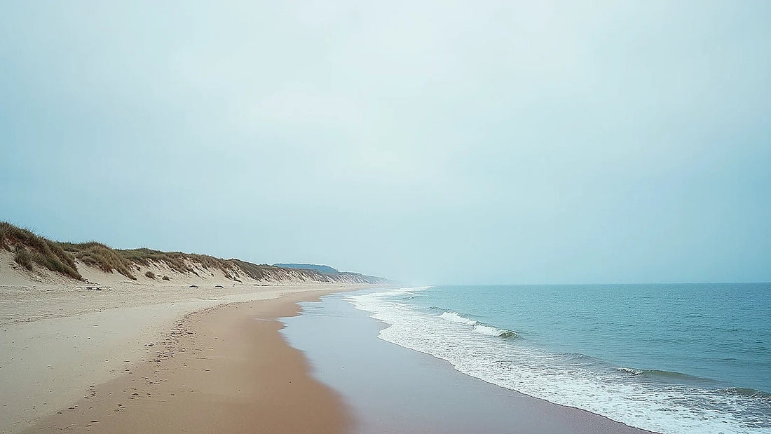 Costa del estrecho de Oresund en Dinamarca