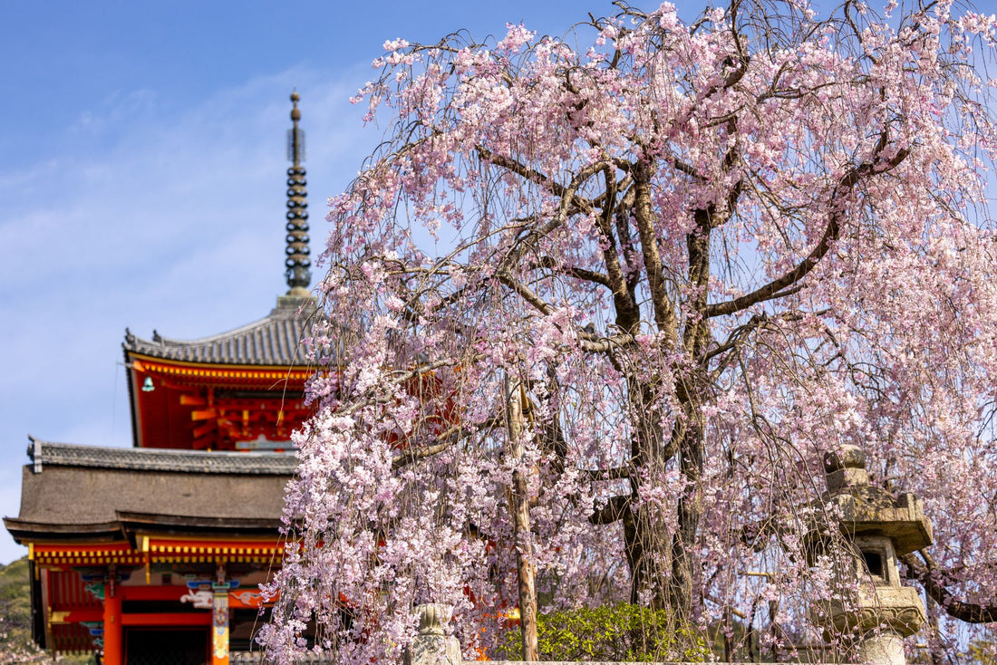 eSIM para Japón 2 semanas — Ruta completa de Tokio a Hiroshima