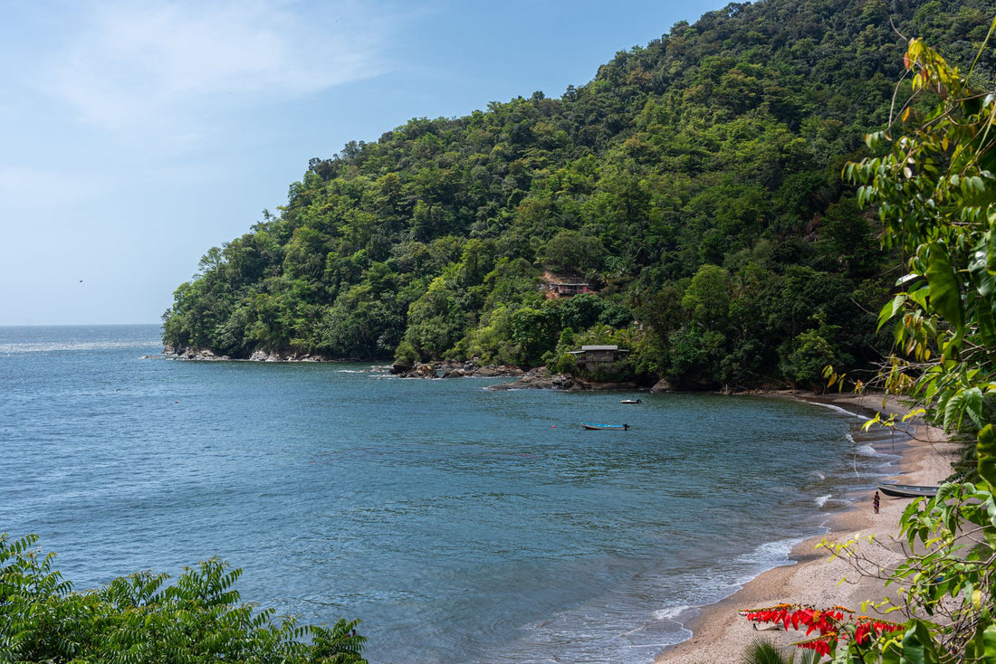 Viajero usando una eSIM para Trinidad y Tobago en una playa caribeña