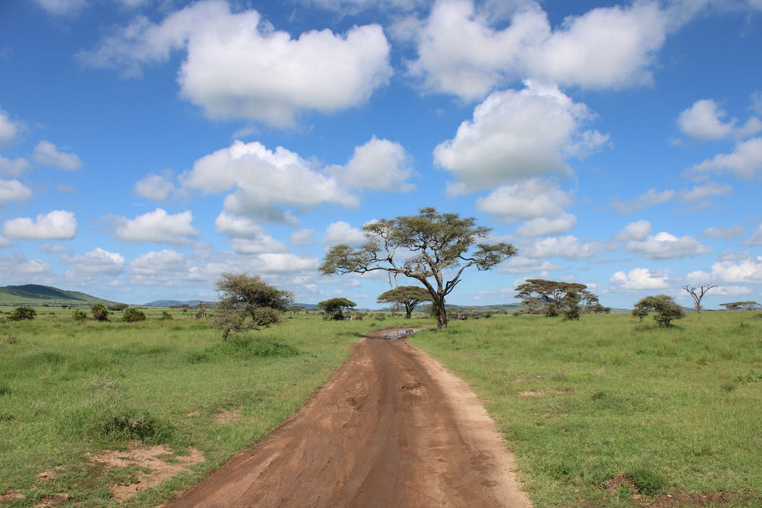 eSIM para África: guía completa para viajar con datos por todo el continente