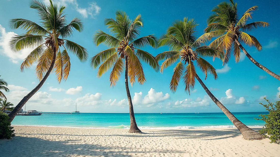 Playa caribeña con palmeras en República Dominicana