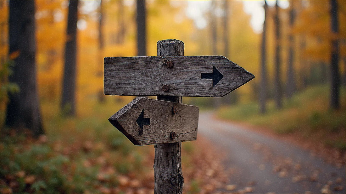 Viajero frente a un cruce de caminos en el bosque