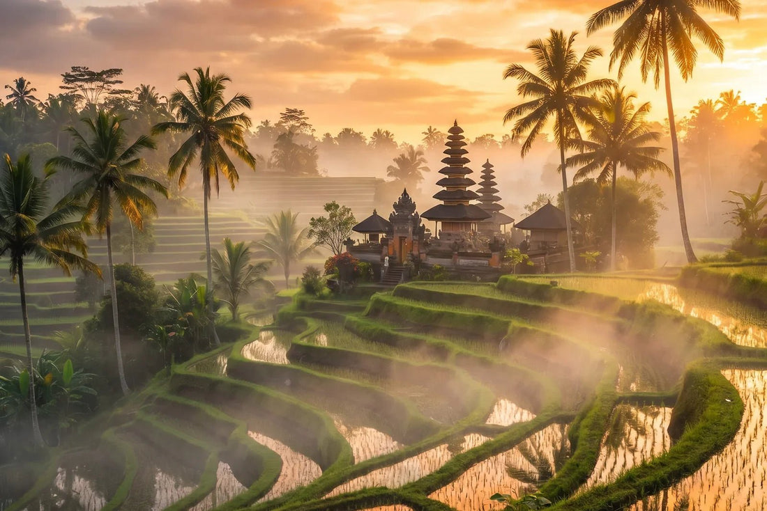 Rizières et temple à Bali — eSIM Indonésie de PuraSIM