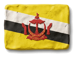 eSIM Brunei Darussalam claymotion