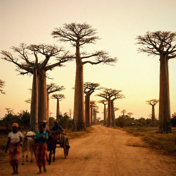 Internet à Madagascar : comment se connecter (options et la meilleure)