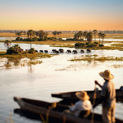 Internet en Botsuana: cómo conectarte (safari y Okavango)