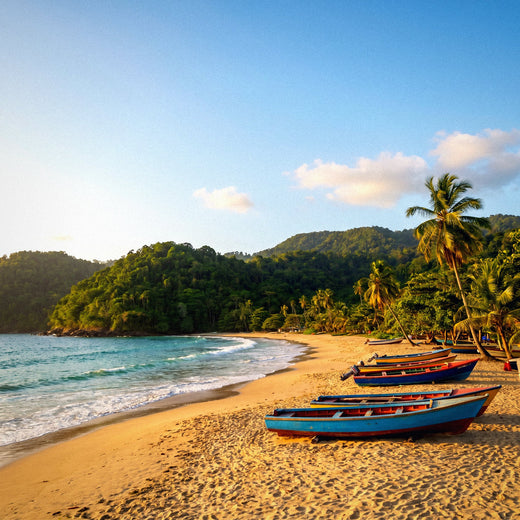 eSIM para Trinidad y Tobago: internet fácil en el Caribe
