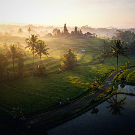 Internet en Indonésie et à Bali : comment se connecter