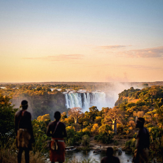 Internet en Zambia: cómo conectarte (safaris y cataratas)
