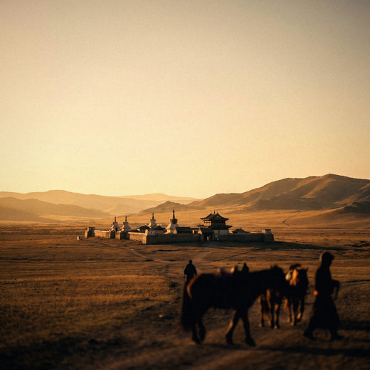 Internet en Mongolia: cómo conectarte (estepa y Gobi)