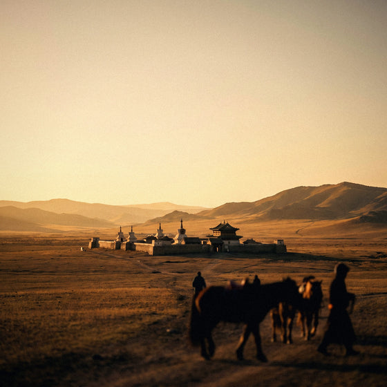 Internet en Mongolie : comment se connecter (steppe et Gobi)