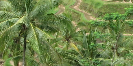 eSIM pour Bali (Indonésie) : Internet sans roaming pendant ton voyage