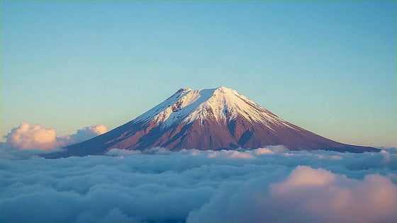 タンザニアに必要なGB数は？旅行プロフィール別ガイド