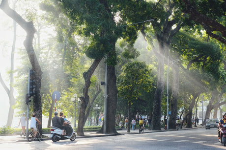 Die beste eSIM für Vietnam 2026: Vergleich, Preise und Abdeckung