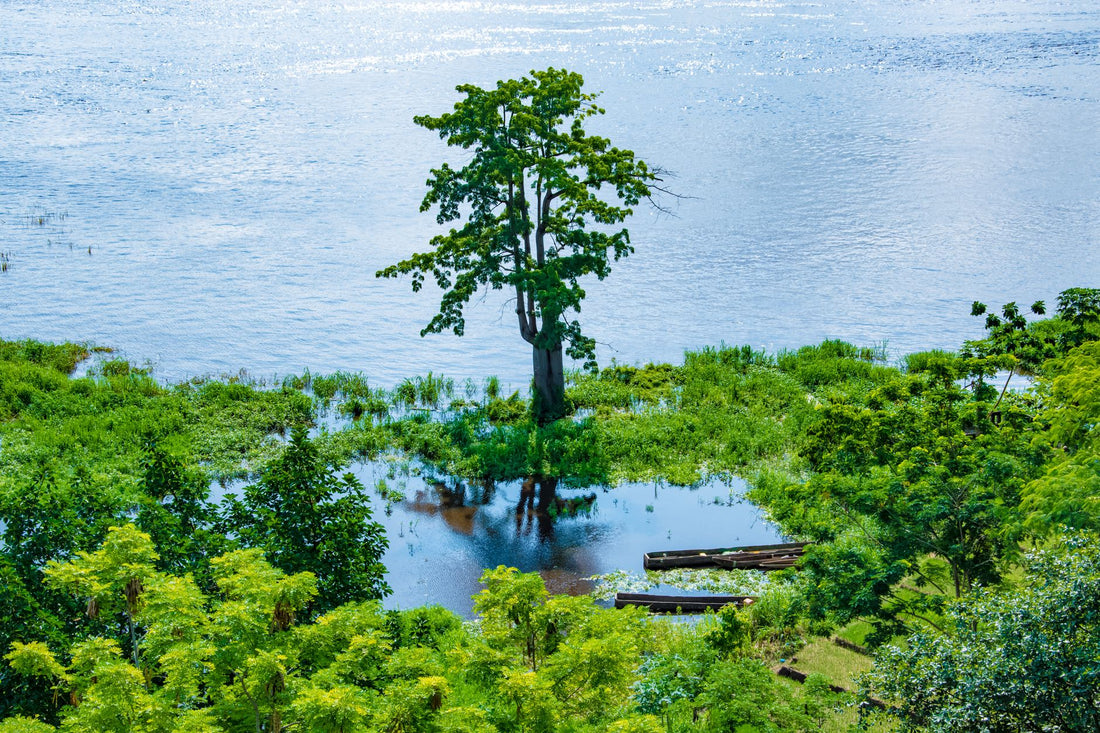 Viajero con eSIM en un paisaje de la República Centroafricana