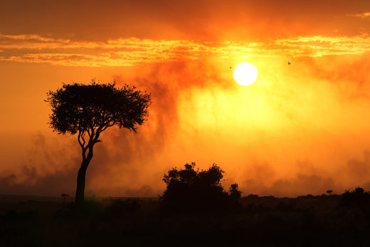 eSIM pour l'Afrique : le pack multi-pays qui vous connecte sur tout l'itinéraire