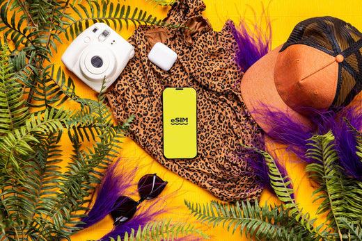 eSIM para Lituania: internet en Vilna sin roaming caro
