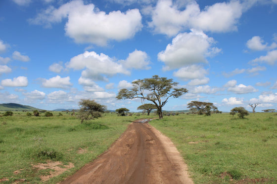 eSIM para África: guía completa para viajar con datos por todo el continente