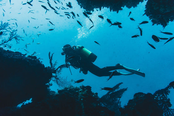 eSIM pour plongée et îles isolées : à quelle connexion s'attendre vraiment