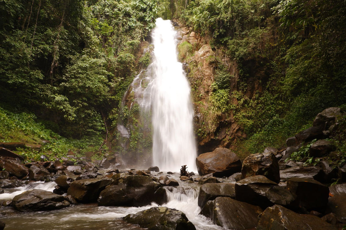 Selva y cascada de Dominica, la isla de la naturaleza donde funciona la eSIM de viaje