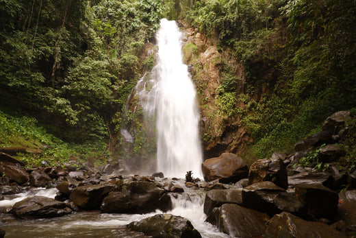 eSIM Dominica: internet en la isla de la naturaleza