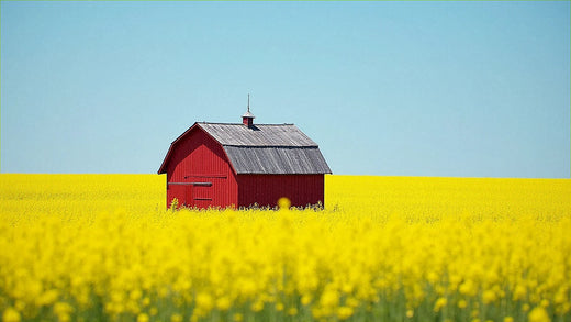 スウェーデンでのインターネット：接続方法（選択肢と最適なもの）をご説明します。