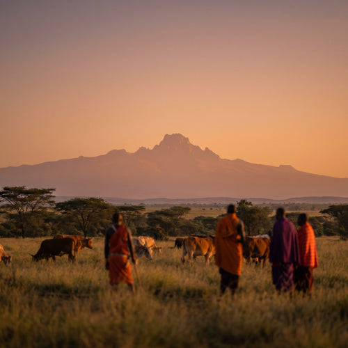 Vista de Kenia para viajeros con eSIM de datos