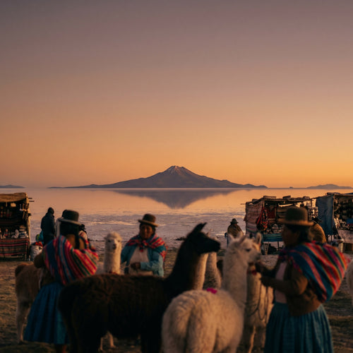 View of Bolivia for travellers with a data eSIM