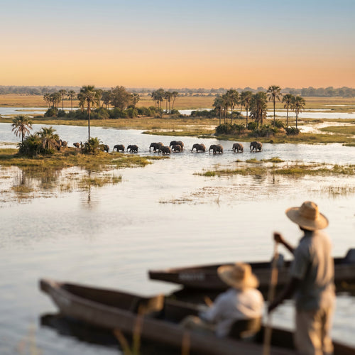 Botswana eSIM: travel mobile data with no roaming
