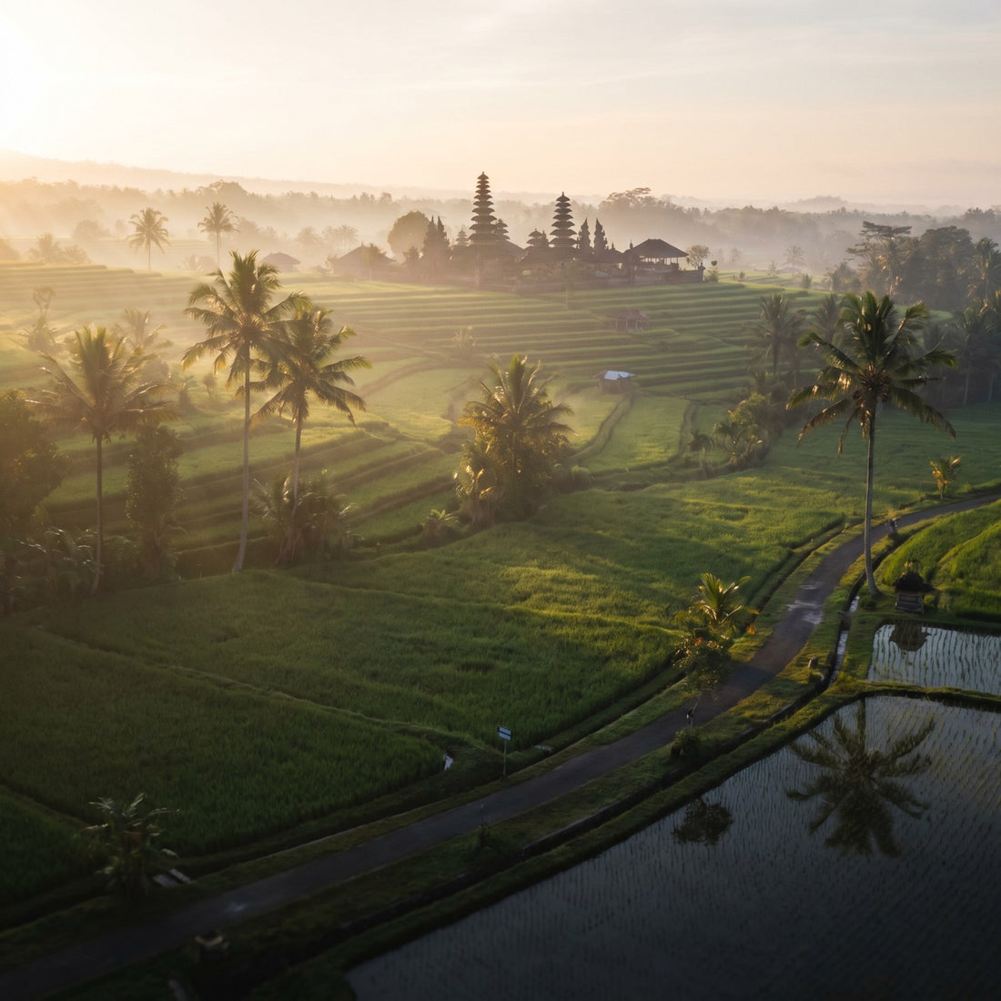 eSIM Indonesia