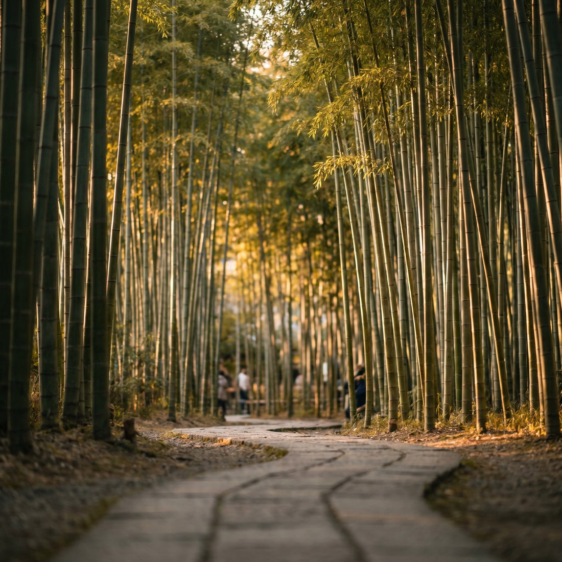 eSIM Japan – 1GB · 7 Tage