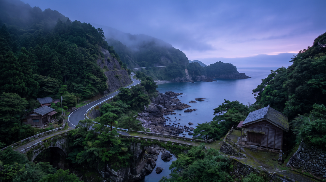 eSIM Japon — 5GB · 30 jours