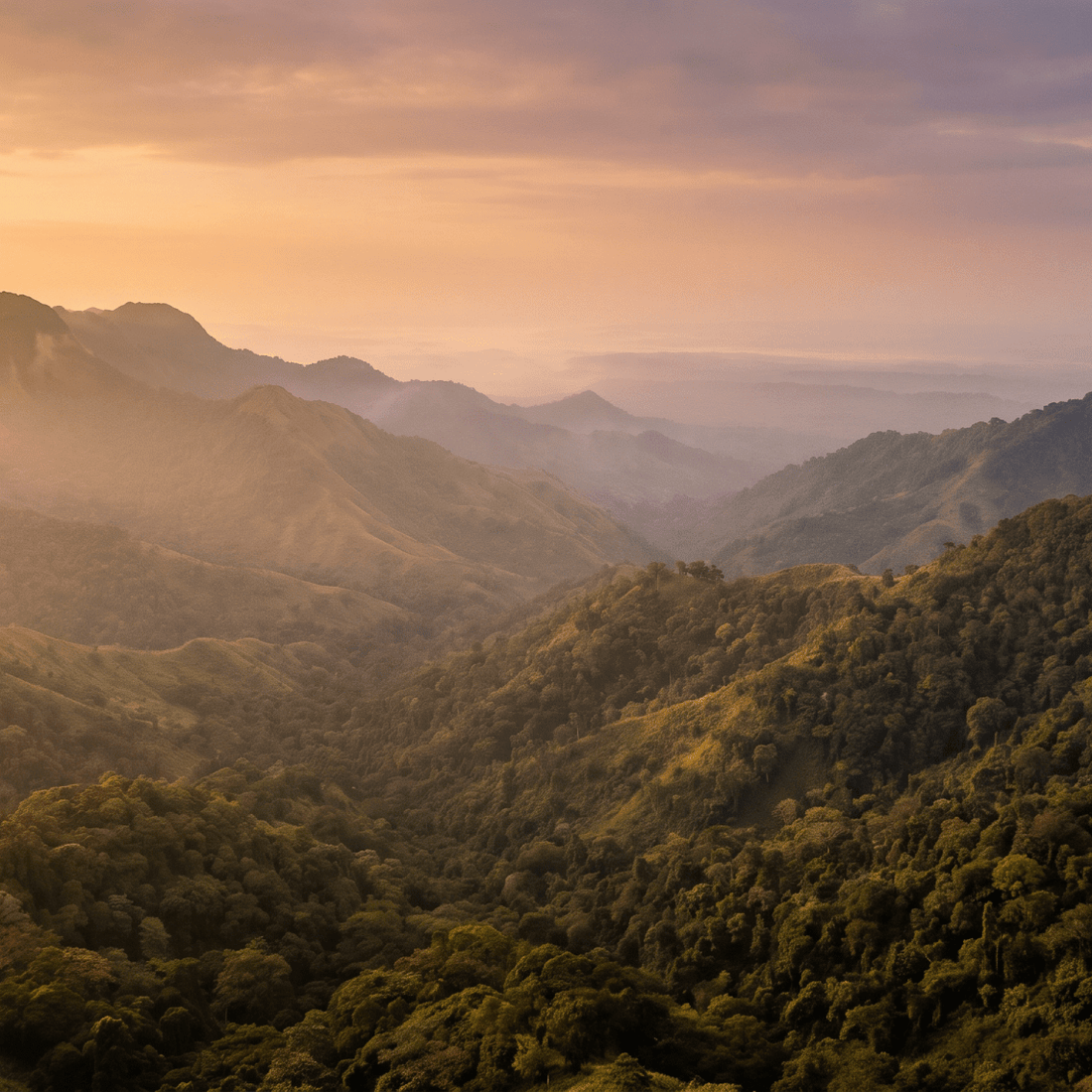 Paisaje de Liberia con cobertura 4G/5G de la eSIM de PuraSIM