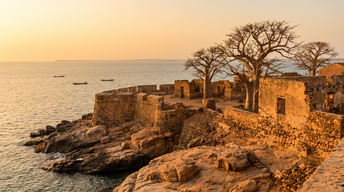 eSIM Senegal