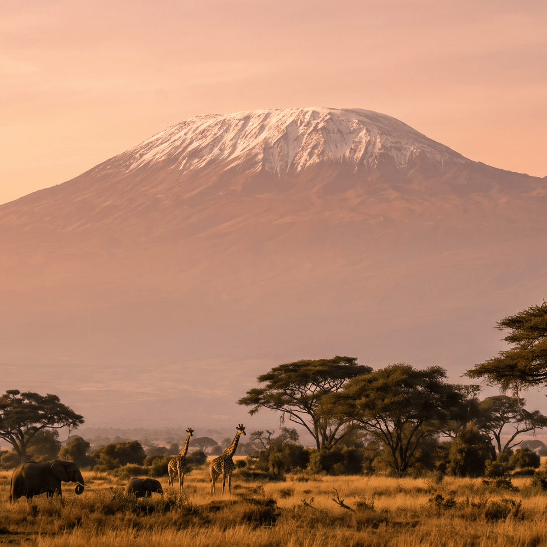 Paisaje de Tanzania con cobertura 4G/5G de la eSIM de PuraSIM